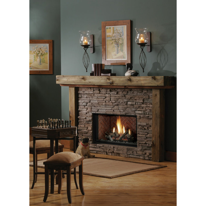 Kingsman Fireplaces Direct Vent Natural Gas/Propane Fireplace Insert